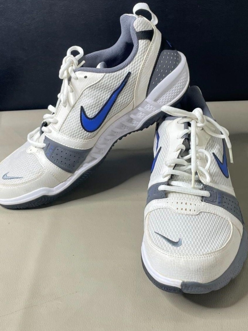 Men's Nike Flex Control 3 (Wolf Grey / Deep Royal Blue / White)